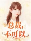 总裁,不可以