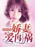 婚婚欲醉:娇妻爱闯祸