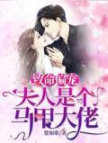 致命偏宠:夫人是个马甲大佬