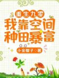 重生九零:我靠空间种田暴富