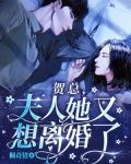 贺总,夫人她又想离婚了