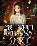 七零:我一家四口和恶奶奶分家了