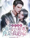 糙汉红着眼低吼小知青你是我的命