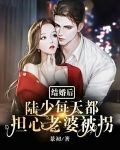 结婚后,陆少每天都担心老婆被拐