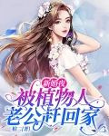 新婚夜,被植物人老公赶回家