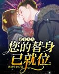 金主大人,您的替身已就位