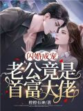 闪婚成宠:老公竟是富豪大佬!