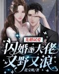 先婚试爱:闪婚后大佬又野又浪