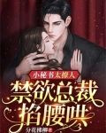 小秘书太撩人,禁欲总裁掐腰哄