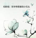 综影视:东华帝君家的小石头