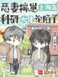 恶妻揣崽上海岛,科研大佬沦陷了无错版
